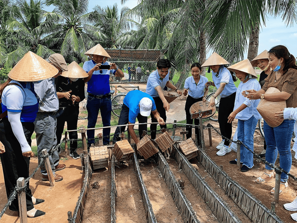 Nội dung chi tiết
